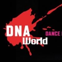 White Wave Hosts COOL NEW YORK DANCE FESTIVAL Held 1/27 At John Ryan Theater